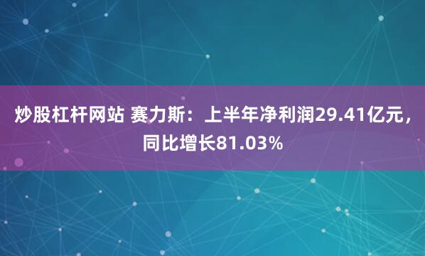 炒股杠杆网站 赛力斯：上半年净利润29.41亿元，同比增长81.03%