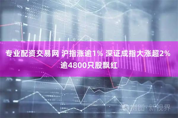 专业配资交易网 沪指涨逾1% 深证成指大涨超2% 逾4800只股飘红